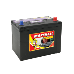 Marshall Evolution SSEFB-D26