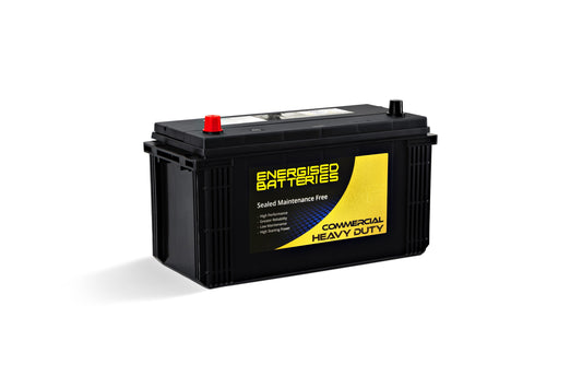 Energised MF Truck Battery DEL-N100L (KN100L)
