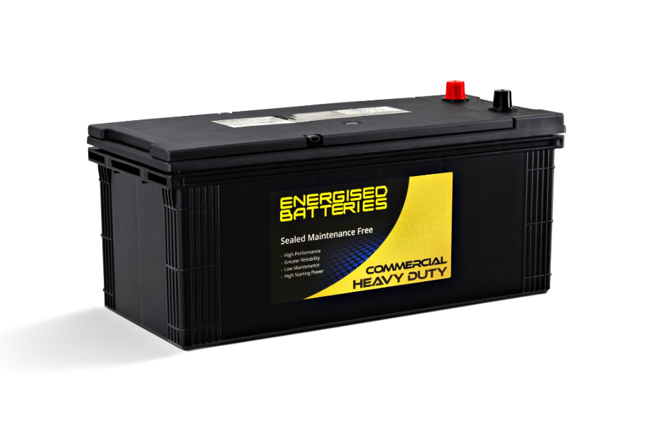 Energised MF Battery DEL-N150